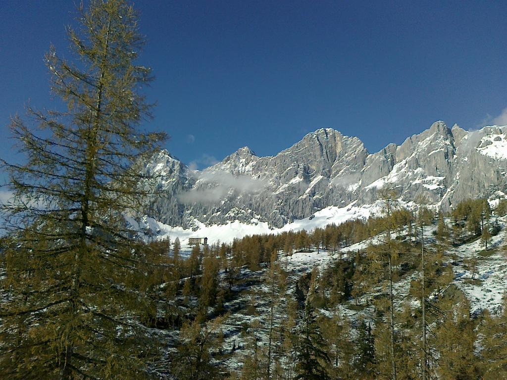 Gloesalm Apartment Ramsau am Dachstein Cameră foto