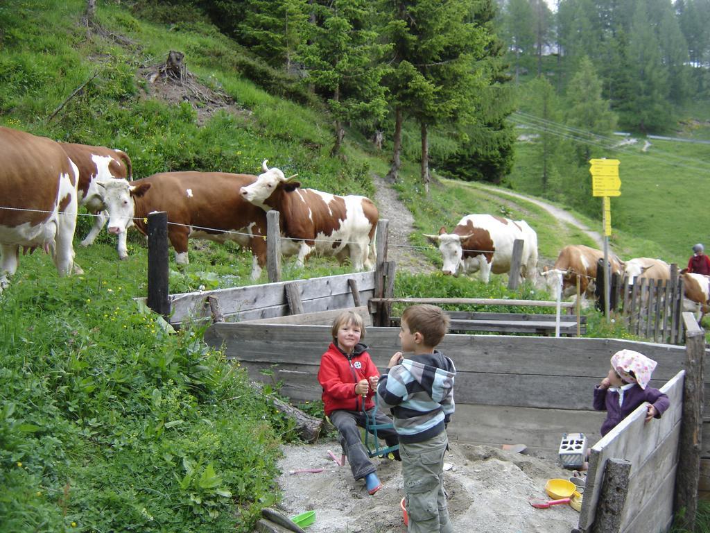Gloesalm Apartment Ramsau am Dachstein Cameră foto