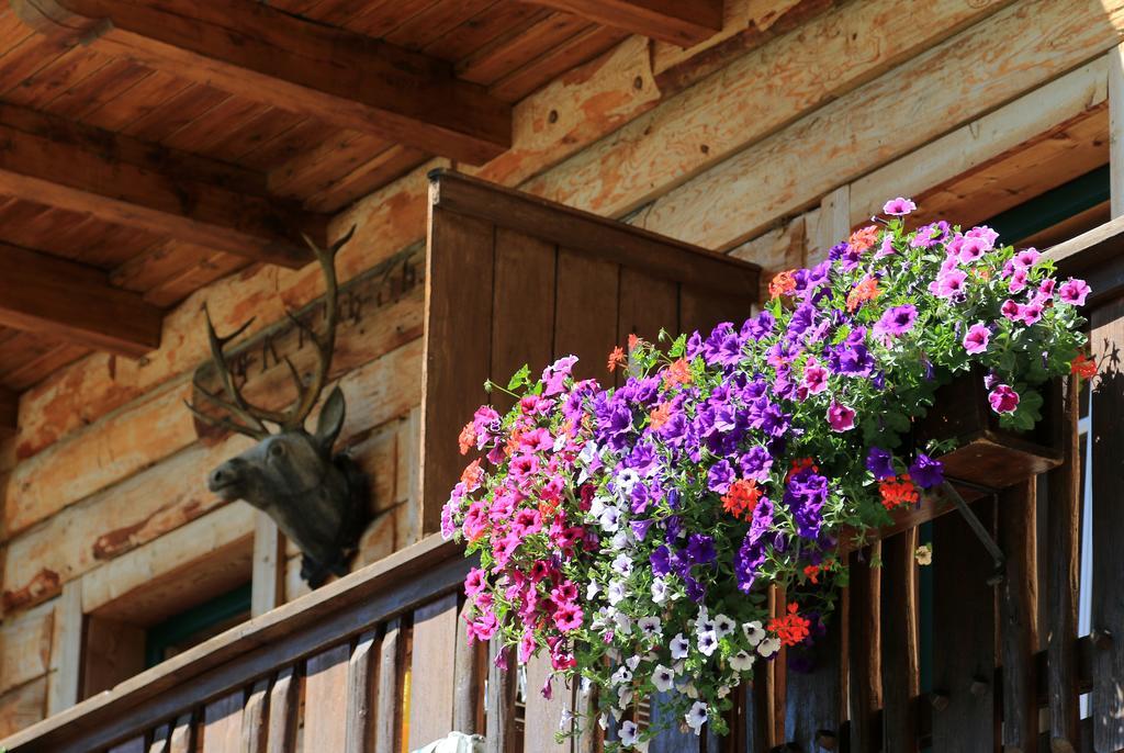Gloesalm Apartment Ramsau am Dachstein Exterior foto