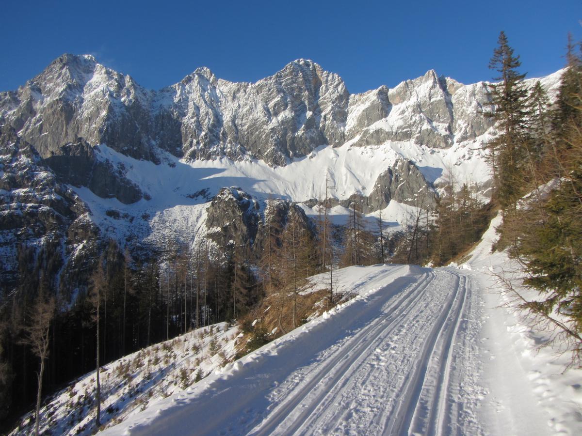 Gloesalm Apartment Ramsau am Dachstein Exterior foto